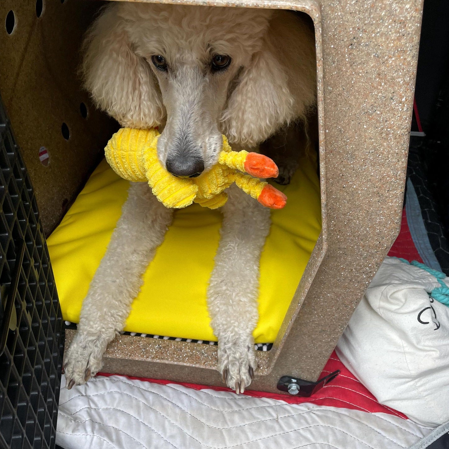 Yellow Waterproof Mat for Ruff Land Kennel - Large, XL, Intermediate, Backseat Rider, Medium, Small