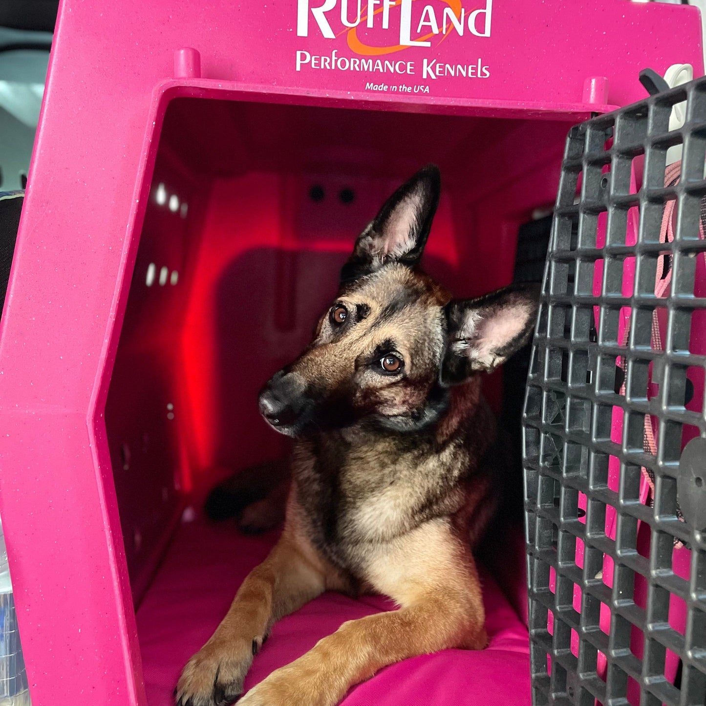 Waterproof Mat for Gunner Kennels - Durable Comfort for Sports, Travel, Training, and Hunting Adventures